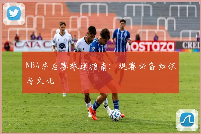 NBA季后赛球迷指南：观赛必备知识与文化