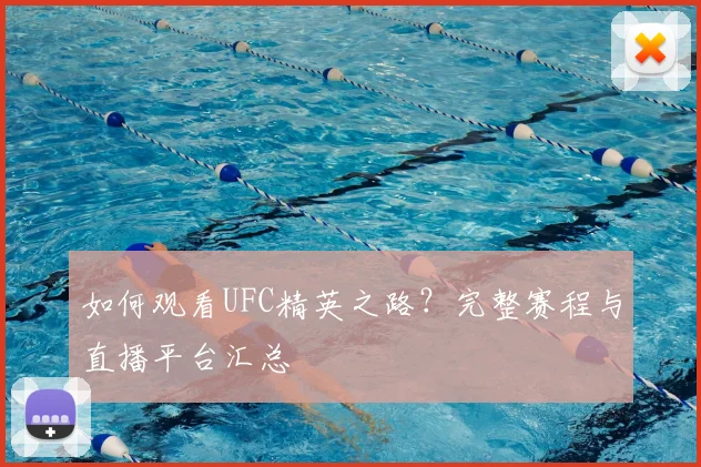 如何观看UFC精英之路？完整赛程与直播平台汇总