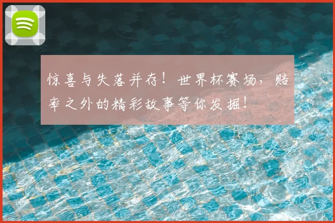 惊喜与失落并存！世界杯赛场，赔率之外的精彩故事等你发掘！