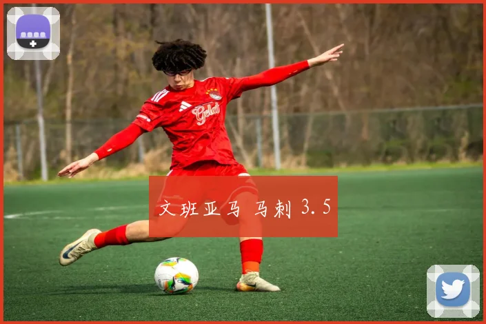 文班亚马 马刺 3.5