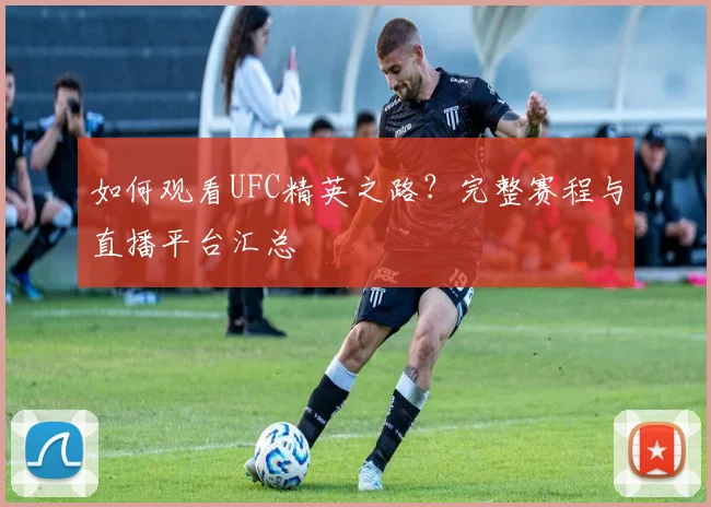 如何观看UFC精英之路？完整赛程与直播平台汇总