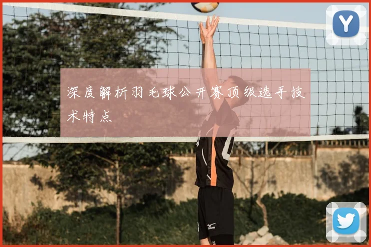 深度解析羽毛球公开赛顶级选手技术特点