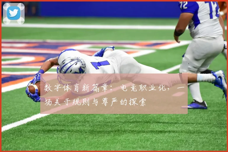 数字体育新篇章：电竞职业化，一场关于规则与尊严的探索
