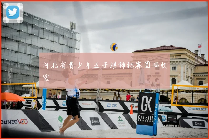 河北省青少年五子棋锦标赛圆满收官
